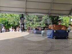 Снимки: Агенция „Митници“