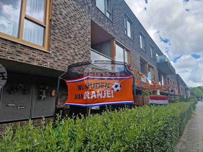 Нидерландия - Евро 2024 - обстановка 