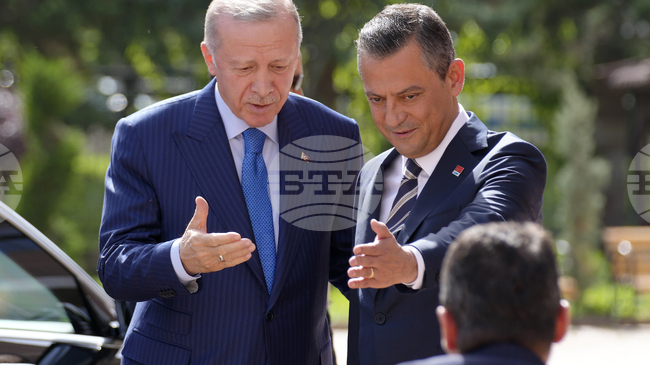 Турският президент е поискал обезщетение от лидера на основната опозиционна партия в Турция заради обидни изказвания по негов адрес 