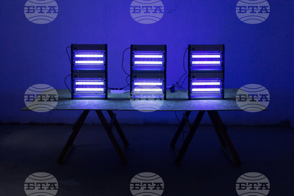Norwegian Artist Nordby Shows Fake Walls, Insect-Killing Lights in Sofia