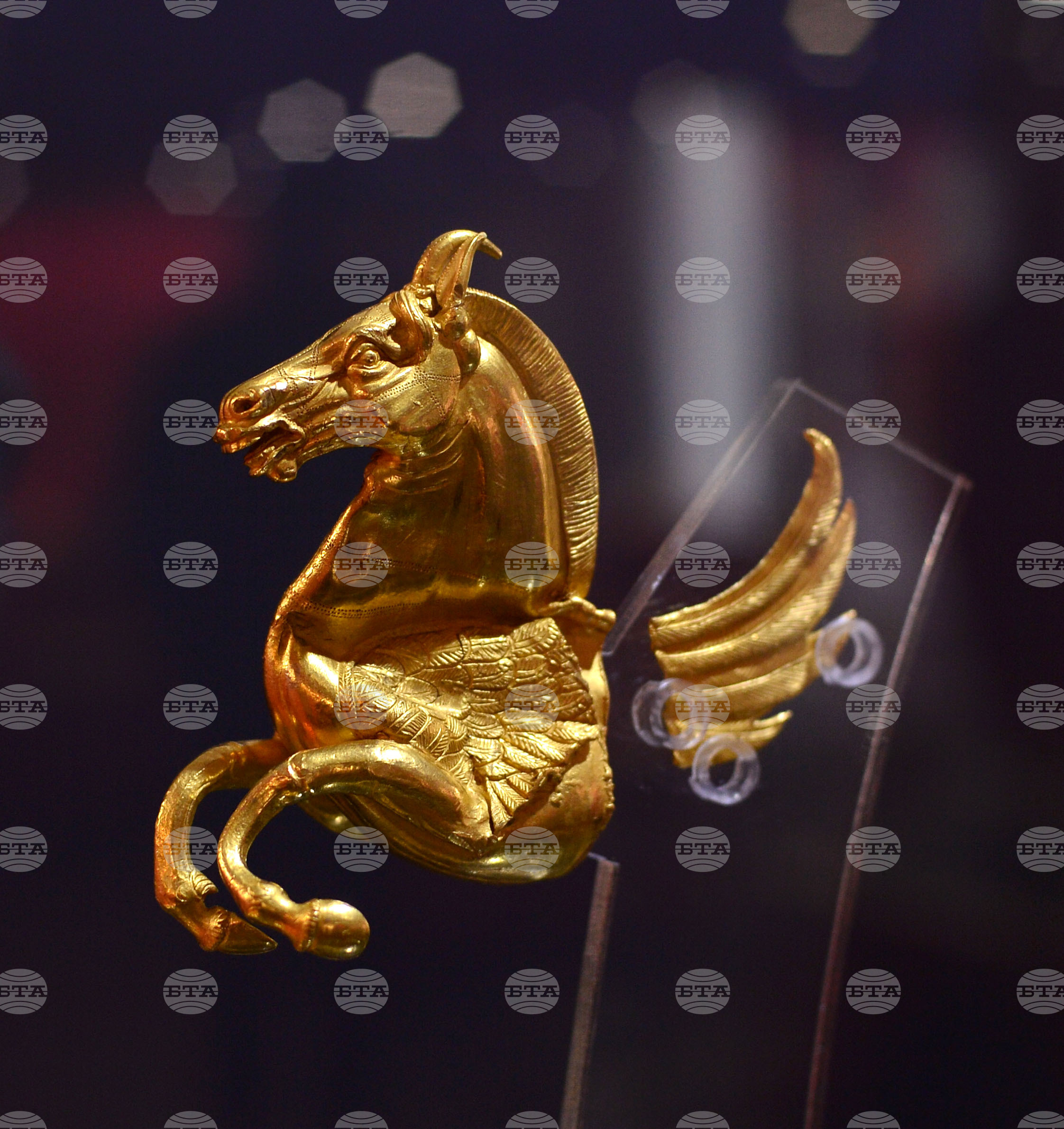 Разград - 135 години музейно дело