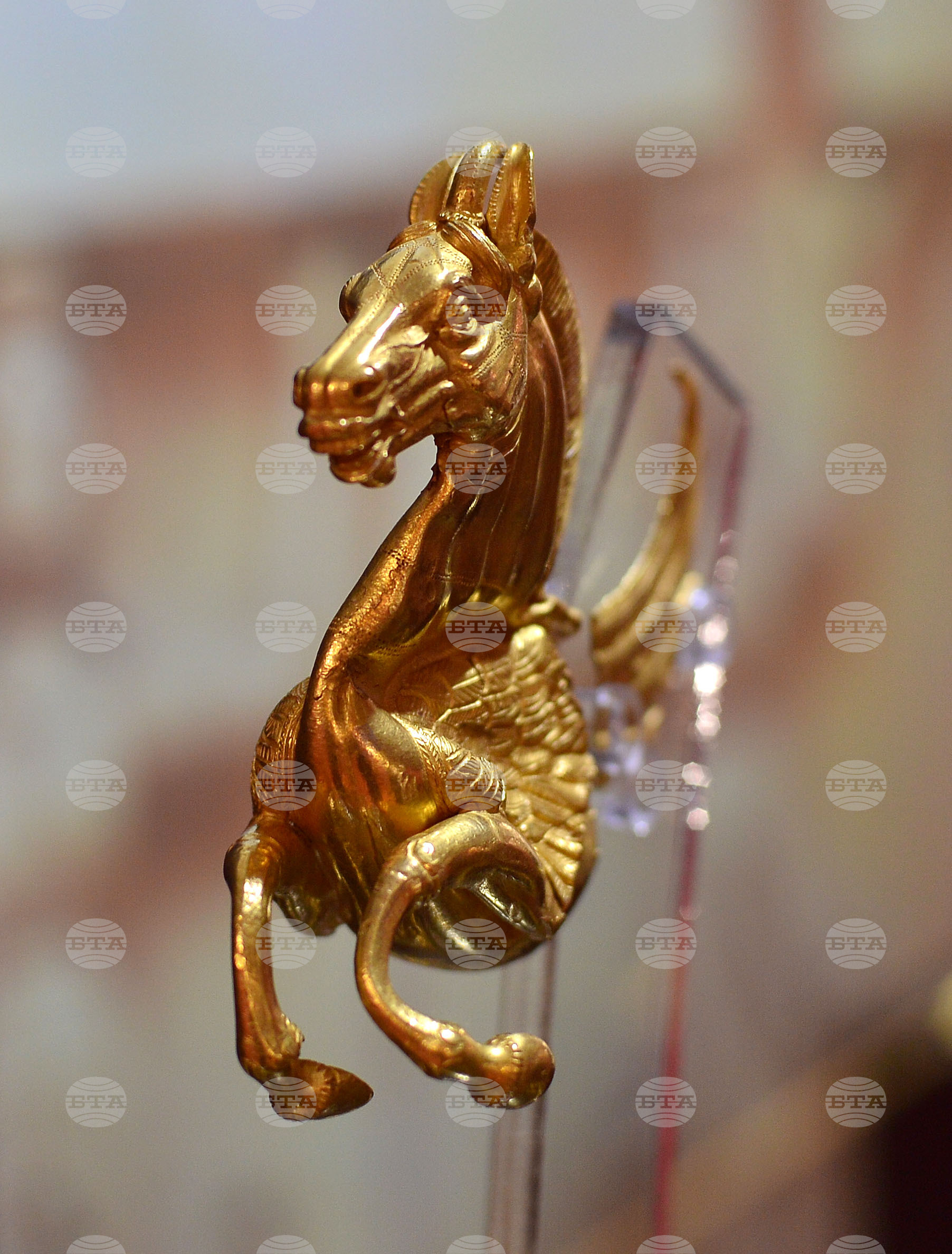 Разград - 135 години музейно дело