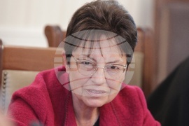 Комисия по образованието и науката - заседание - Ирена Анастасова