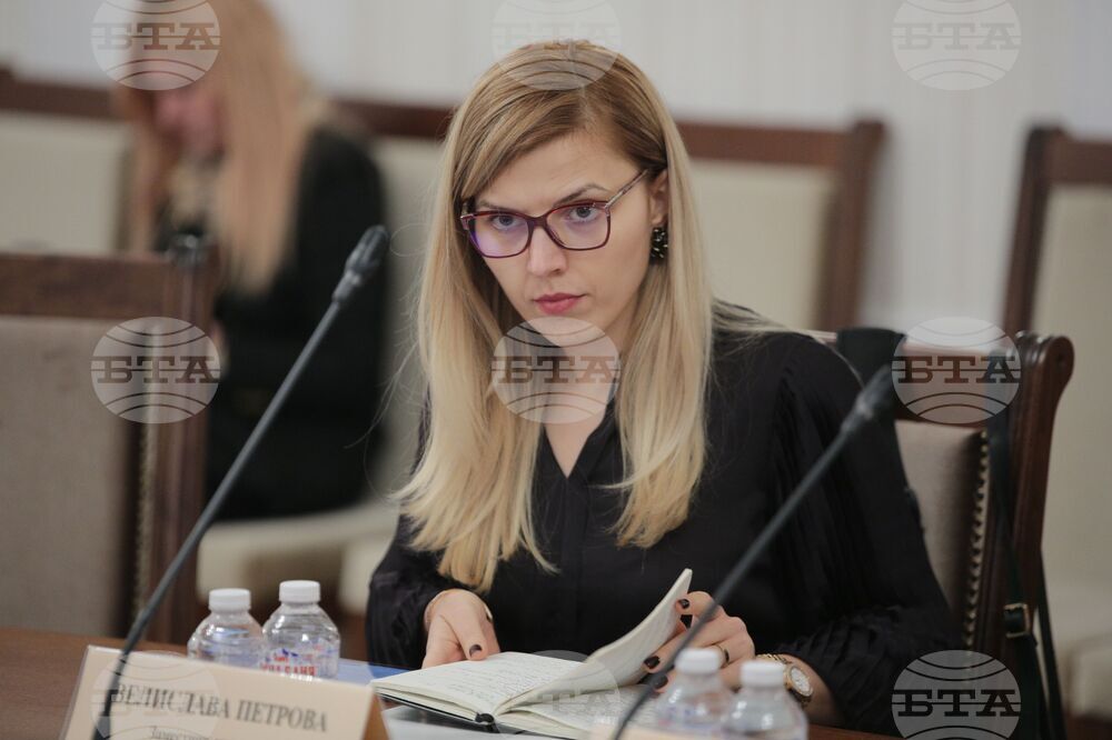 Комисия по външна политика - заседание - Велислава Петрова