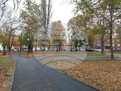 Продължава асфалтирането на паркови алеи в град Видин