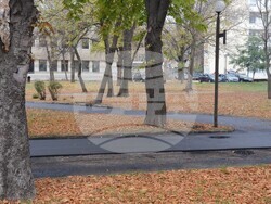 Продължава асфалтирането на паркови алеи в град Видин