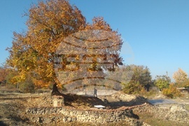 Свищов - Нове - археология