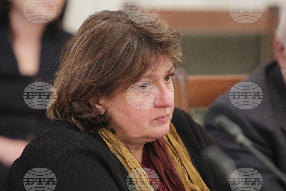 Комисия по културата и медиите - заседание - Борислава Танева