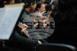 Видин - Симфониета