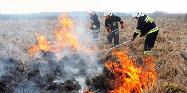 Къщи, иглолистна гора и ферма за кокошки са спасени от пожара край Вардун