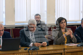 Парламент -  БСП - ДПС - среща