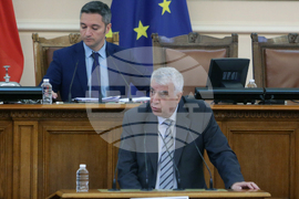 Парламент - парламентарен контрол - Румен Гечев