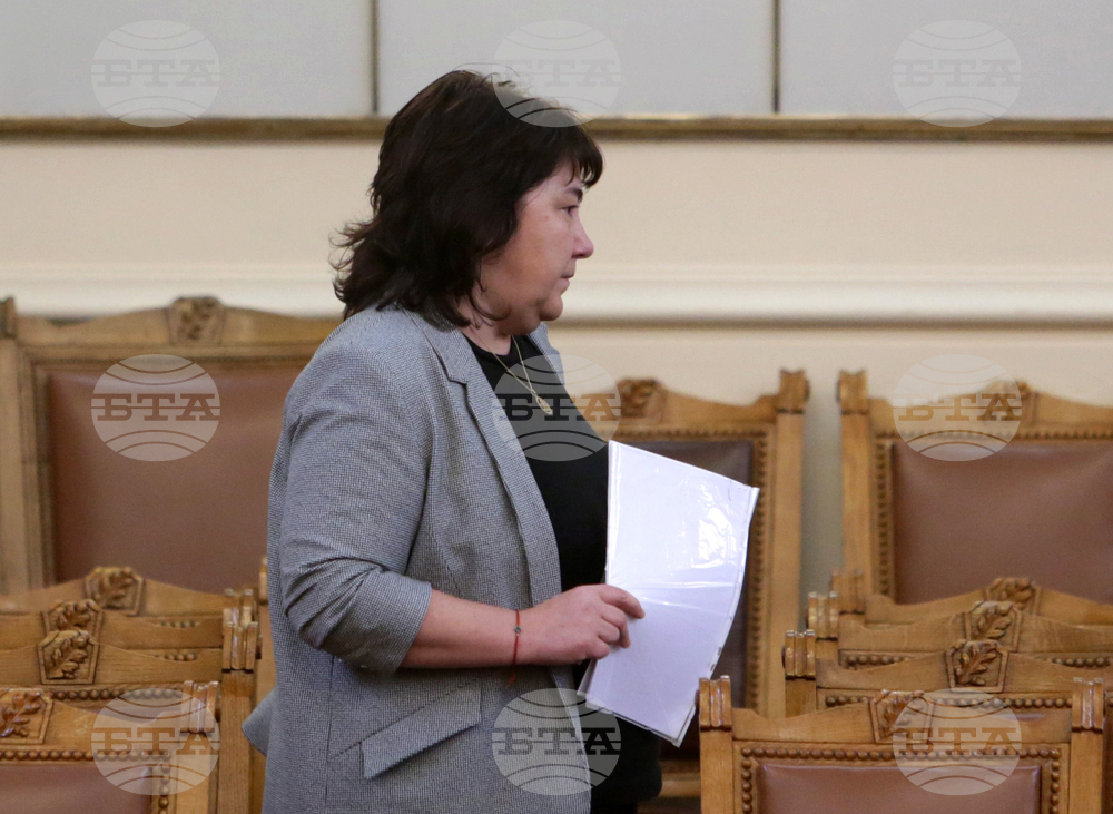 Парламент - парламентарен контрол - Росица Велкова-Желева