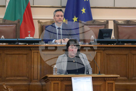 Парламент - парламентарен контрол - Росица Велкова-Желева