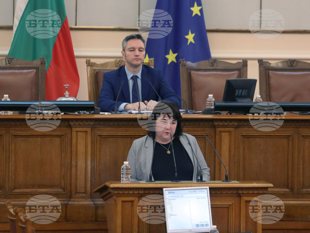 Парламент - парламентарен контрол - Росица Велкова-Желева