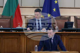 Парламент - парламентарен контрол - Георги Самандов.