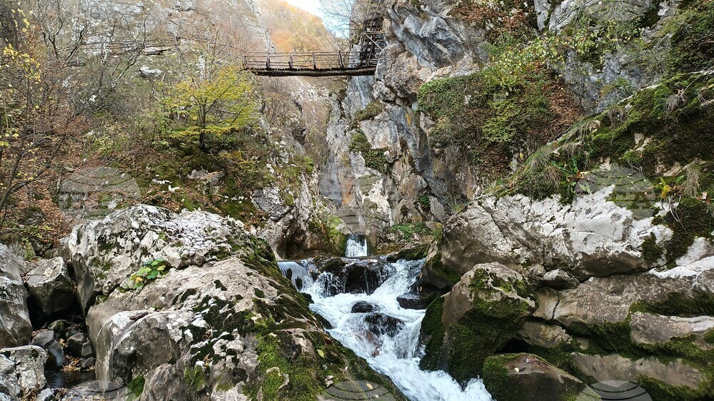 Фотоконкурс показва красотите в Община Трън