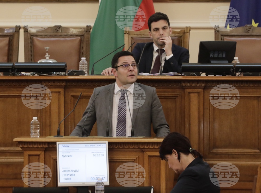 Парламент - парламентарен контрол - Александър Пулев