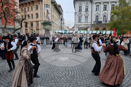 Словения - Любляна - празник на младото вино/Снимка: БТА