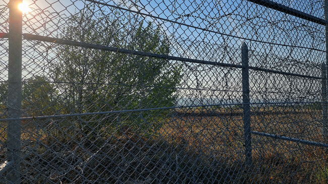 Illegal Border Crossings into Bulgaria Drop 60% in 2025 Y/Y, with 2,688 Migrants Attempting Entry