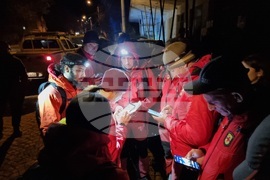 Перник - Александър - издирване 