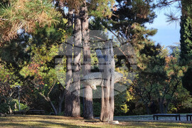 Стара Загора - Парк "Митрополит Методий Кусев"