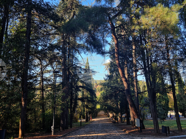  Стара Загора - есен - Парк "Митрополит Методий Кусев"