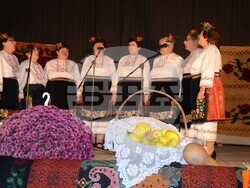 Снимка: Община Видин - В Капитановци честваха 95 години читалищно дело