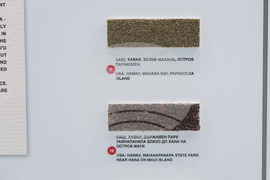 Бургас - Природонаучен музей - „Светът в зрънце пясък“ - изложба