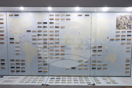 Бургас - Природонаучен музей - „Светът в зрънце пясък“ - изложба