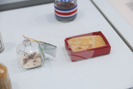 Бургас - Природонаучен музей - „Светът в зрънце пясък“ - изложба