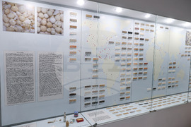 Бургас - Природонаучен музей - „Светът в зрънце пясък“ - изложба