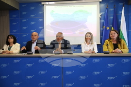 ГЕРБ - брифинг