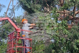 Село Радювене - буря - щети