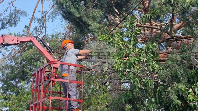 Село Радювене - буря - щети