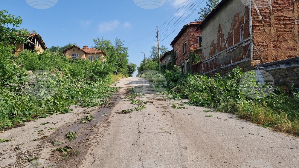 Село Радювене - буря - щети