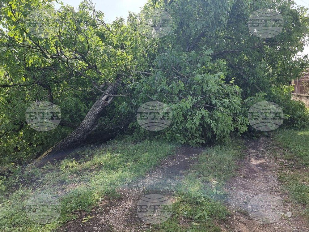 Село Радювене - буря - щети