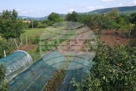 Село Радювене - буря - щети