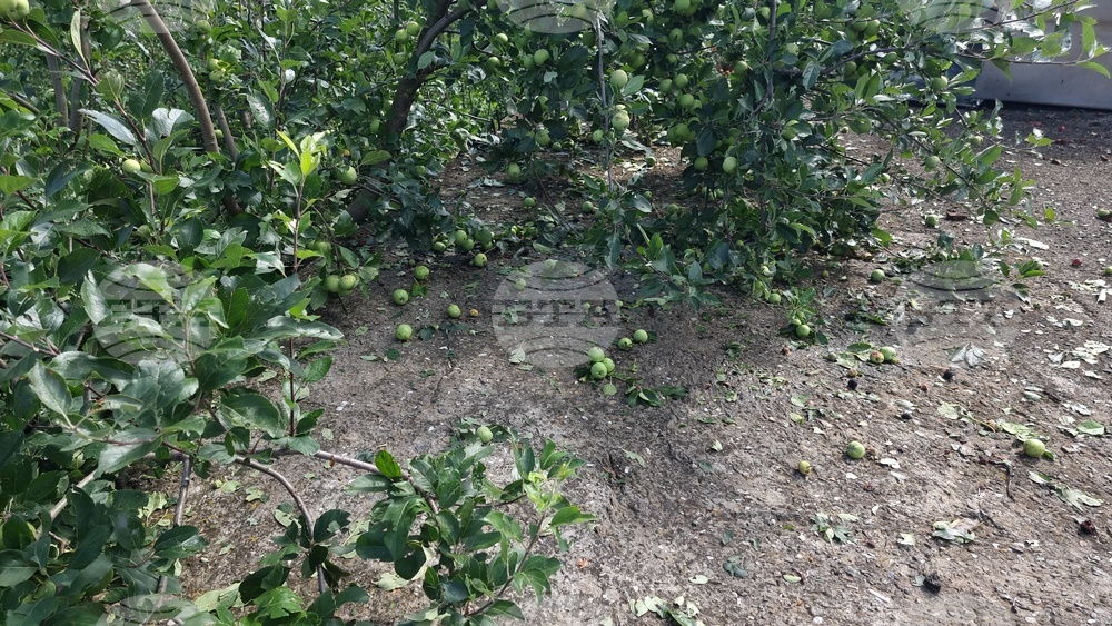 Село Радювене - буря - щети