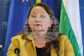 ГЕРБ - брифинг