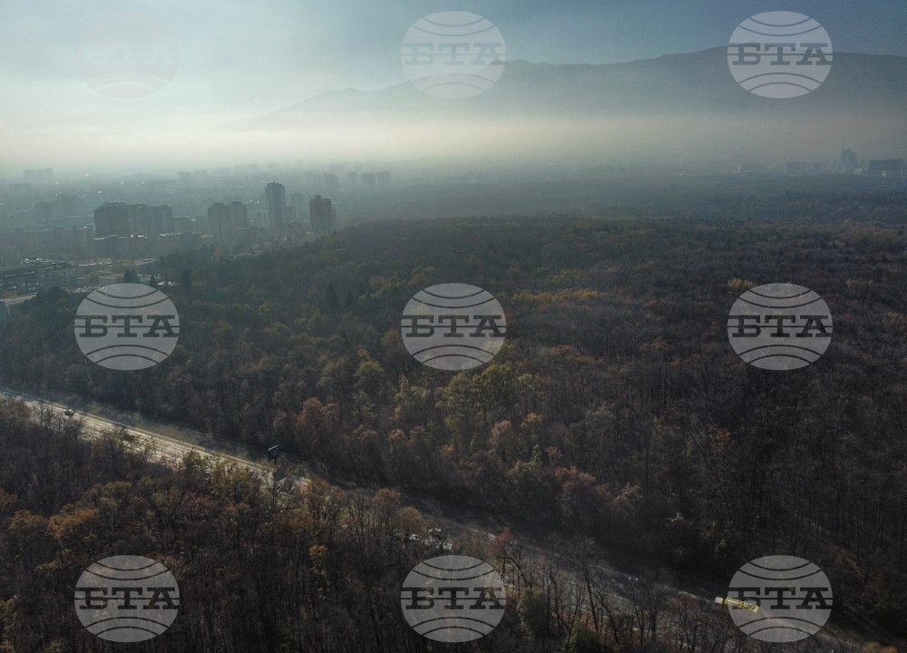 Мъгливо време