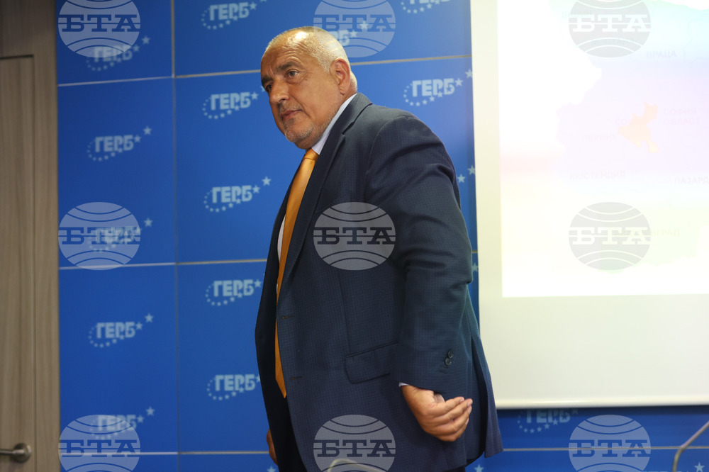 ГЕРБ - брифинг