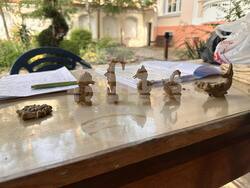 Снимка: Община Сливен