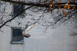 Благоевград - ежедневие - хубаво време