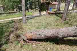 Село Арбанаси - градушка - щети