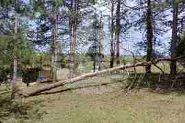 Село Арбанаси - градушка - щети