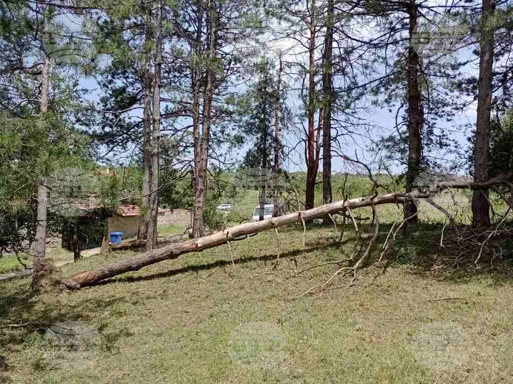 Село Арбанаси - градушка - щети