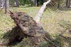 Село Арбанаси - градушка - щети