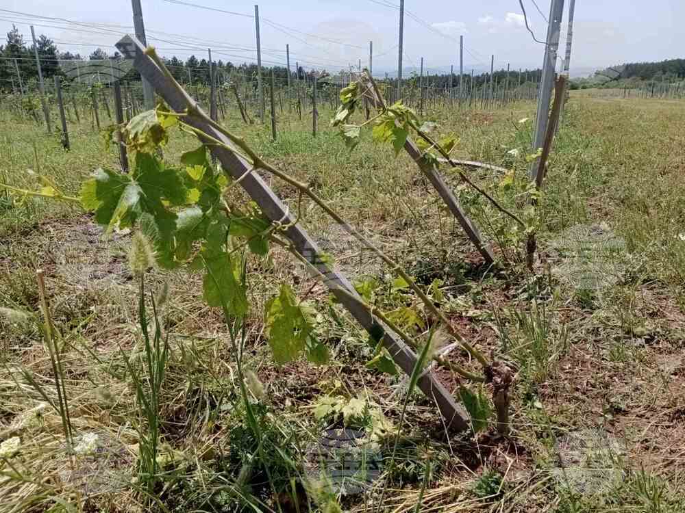 Село Шереметя - градушка - щети