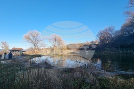 Перник - издирвателна акция